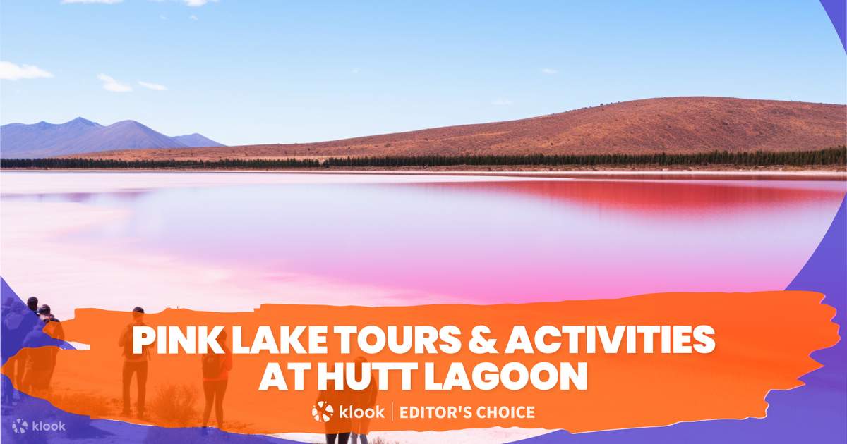 Pink lake store buggy tours